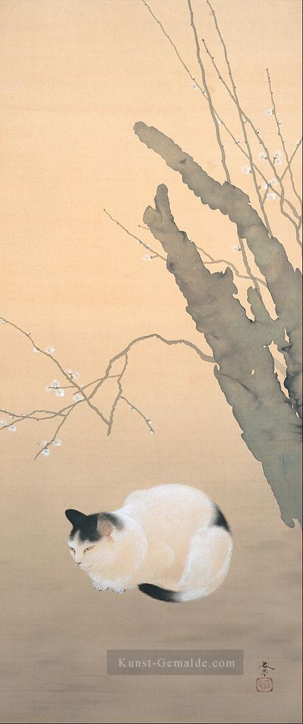 Katzen und Pflaumenblüten 1906 Hishida Shunso Japanisch Ölgemälde